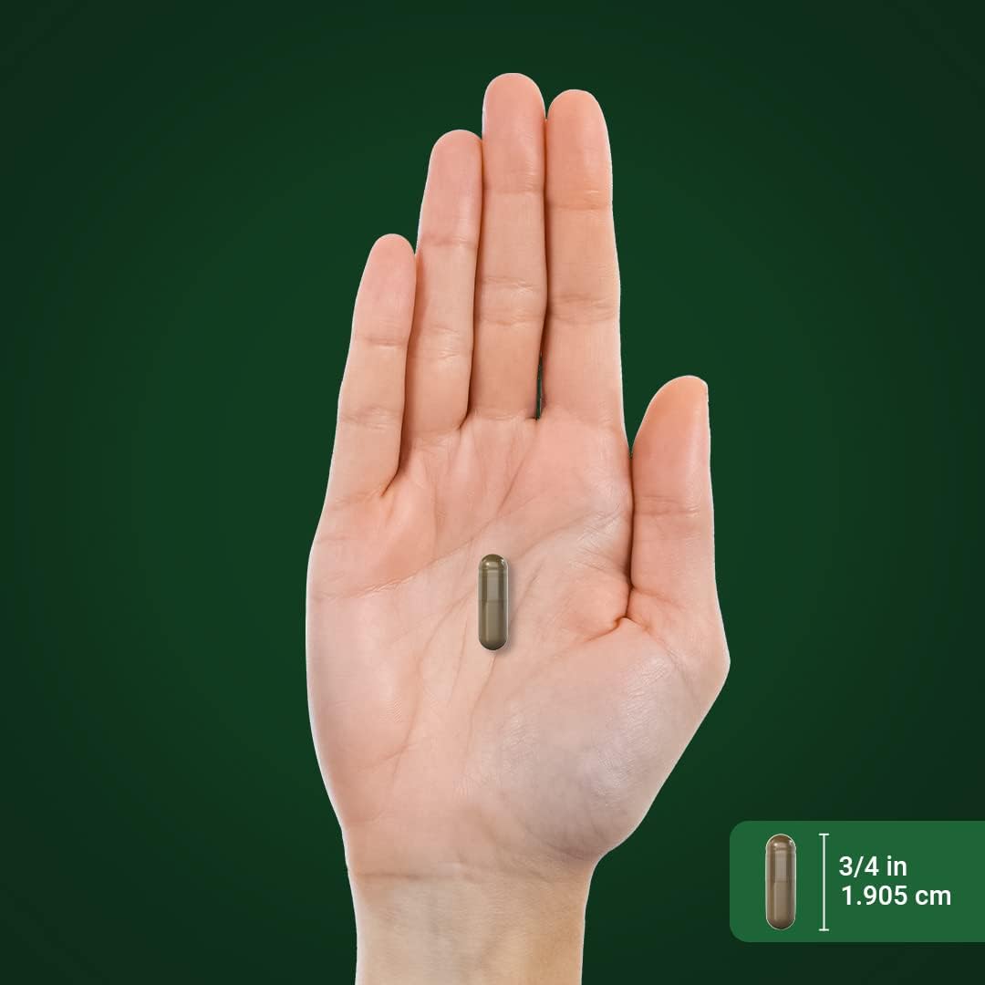 Piping Rock Cápsulas de Raíz de Zarzaparrilla | 120 cápsulas | Extracto concentrado de hierba | No transgénico y sin gluten