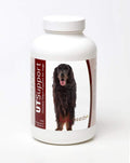 Healthy Breeds Gordon Setter Cranberry Chewables - Apoyo Urinario - 75 Unidades