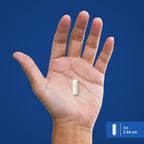 Piping Rock Niacin 500mg Flush Free | 240 Cápsulas | Suplemento de Vitamina B3
