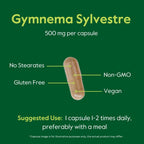 BESTVITE Gymnema Sylvestre 500mg (120 Cápsulas Vegetarianas) - Estandarizado al 75% de Ácido Gimnémico - Sin Estearatos - Sin Cargas - Sin Agentes de Fluidez - Vegano - No GMO - Sin Gluten