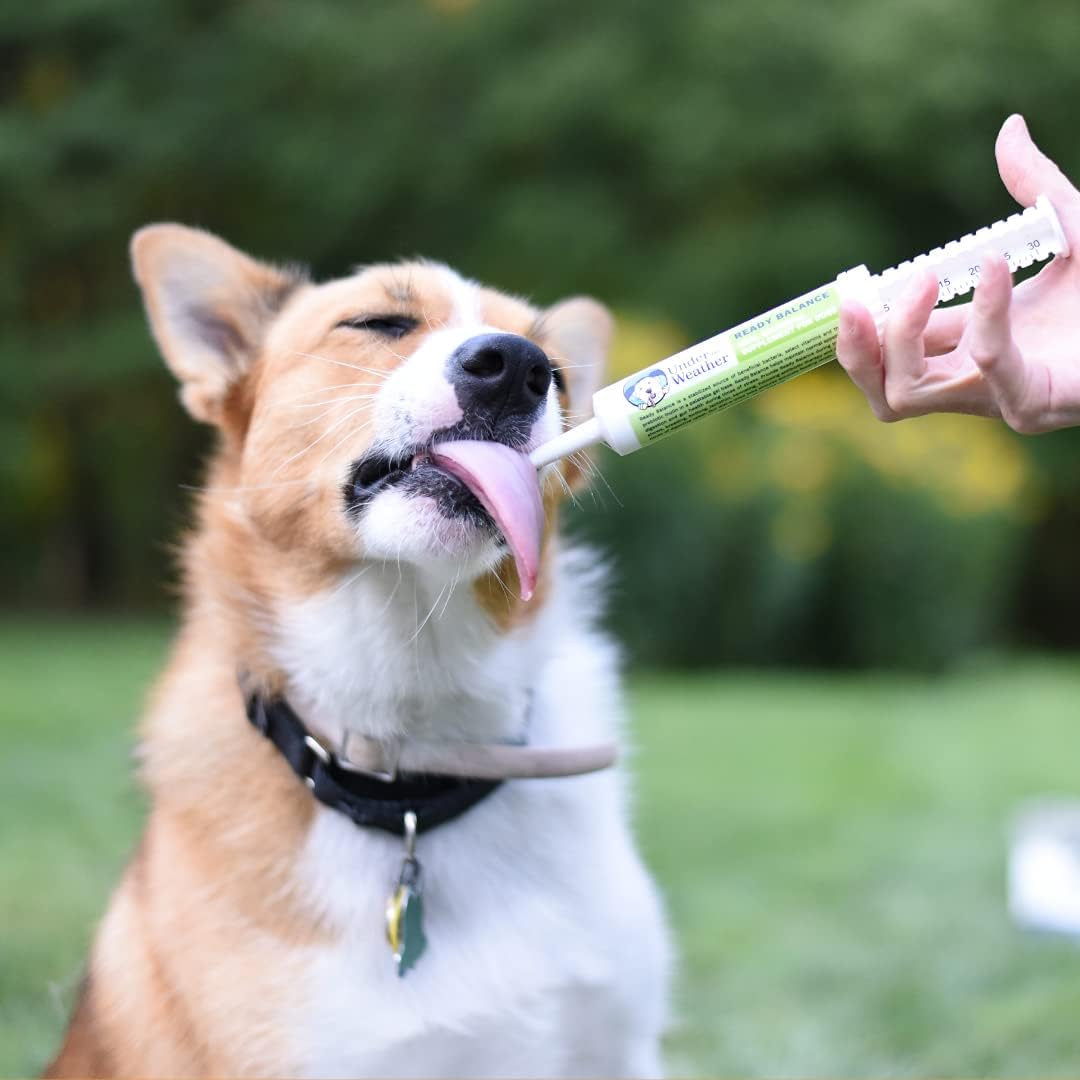 Under the Weather Ready Balance Probióticos y Prebióticos en Gel para Perros