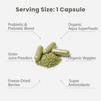 Paradise Herbs Earth's Blend Daily Multivitamin Iron-Free - 48 Organic Superfoods, Probiotics, and Vitamins A, B12, C, D, K2 - 60 Capsules