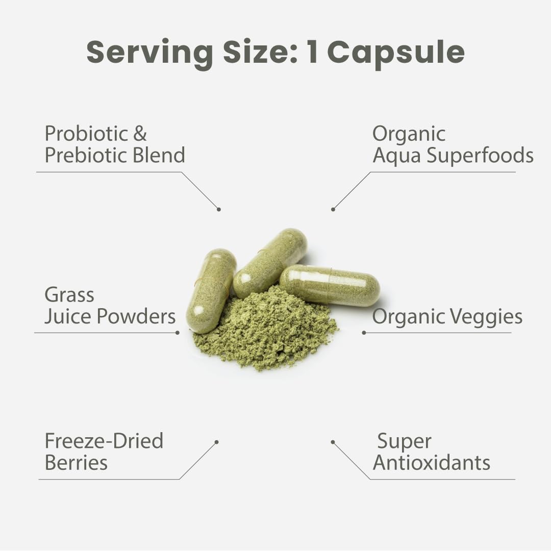 Paradise Herbs Earth's Blend Daily Multivitamin Iron-Free - 48 Organic Superfoods, Probiotics, and Vitamins A, B12, C, D, K2 - 60 Capsules