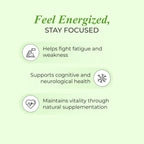 Nutrela Patanjali Vitamina B12 Biofermentada de Origen Vegetal con Moringa y Aloe Vera - 30 Cápsulas Vegetales (Pack de 2)