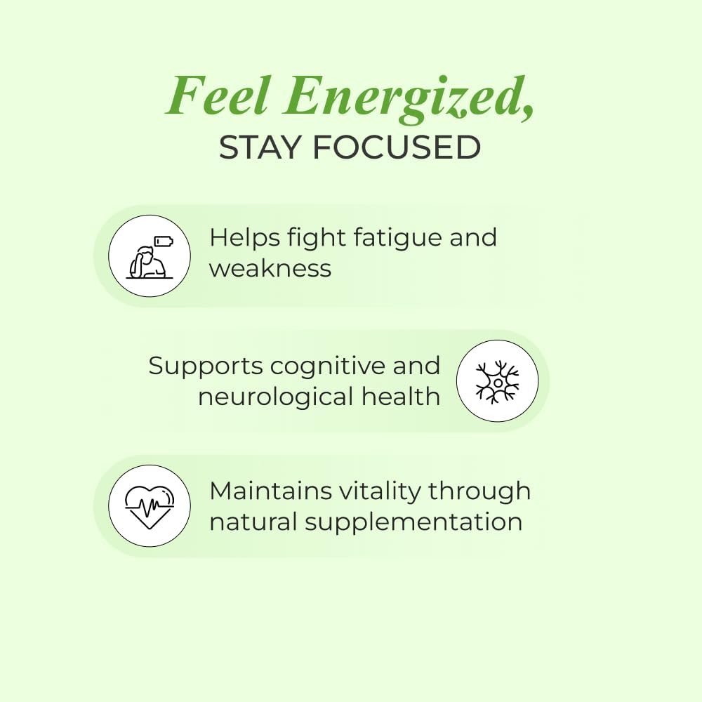 Nutrela Patanjali Vitamina B12 Biofermentada de Origen Vegetal con Moringa y Aloe Vera - 30 Cápsulas Vegetales (Pack de 2)