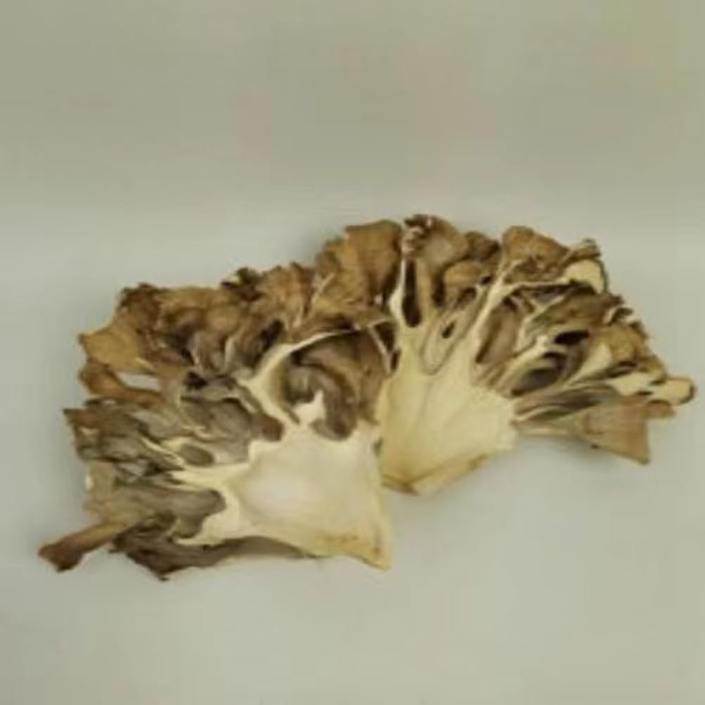 Maitake Mushroom Huishuhua (500g)