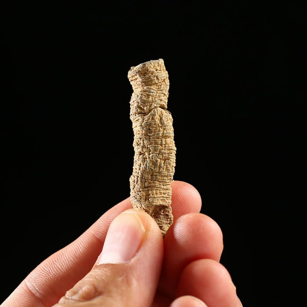 500 Gramos de Raíz Natural Orgánica de Morinda Officinalis (Bajitian) - Suplemento Herbal a Granel