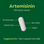 BESTVITE Artemisinina 200mg por Cápsula (60 Cápsulas Vegetales)