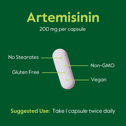 BESTVITE Artemisina 200 mg (120 Cápsulas Vegetales) (Paquete de 2) – Sin Estearatos – Vegano – Sin Gluten – No OGM – Image 5