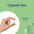 BESTVITE Ácido Fólico 1000mcg (Vitamina B9) - 240 Cápsulas Vegetarianas