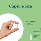 BESTVITE Vitamina B12 (Metilcobalamina) 2000mcg (240 Cápsulas Vegetarianas) - Sin Estearatos - Vegano - No OGM - Sin Gluten