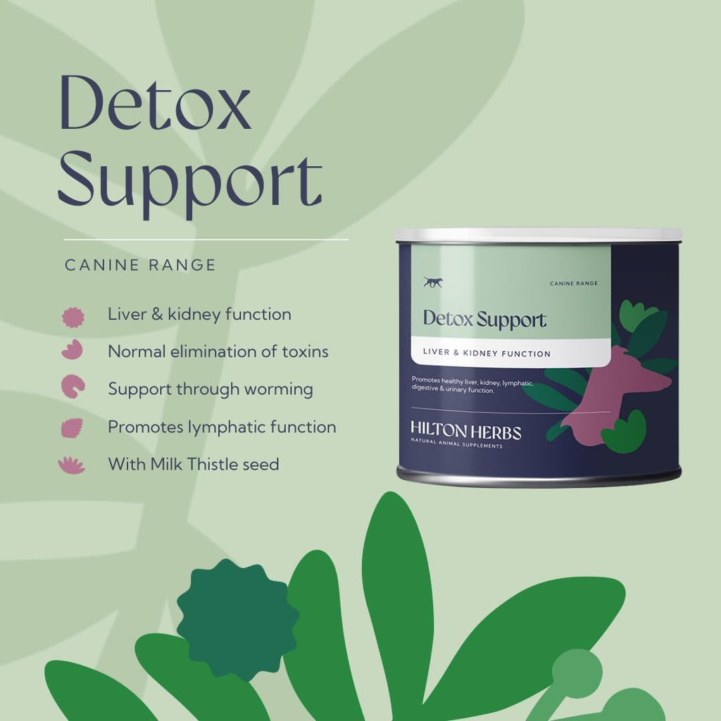 Hilton Herbs Canine Detox Support – Suplemento herbario para la función hepática en perros, bote de 125 g