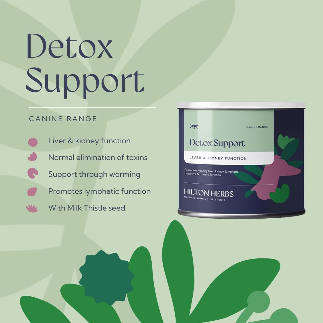 Hilton Herbs Canine Detox Support – Suplemento herbario para la función hepática en perros, bote de 125 g