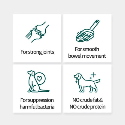 Labivet Probióticos para Perros y Gatos - – Bienestar general: Una digestión equilibrada se refleja en el estado – Image 3