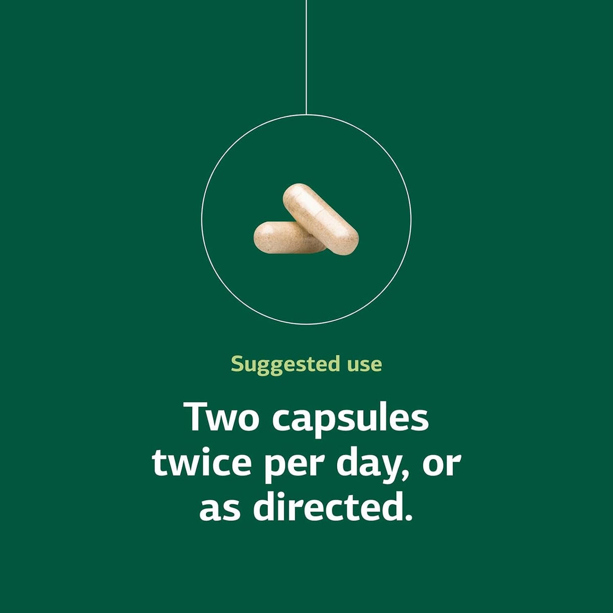 Standard Process Ligaplex II - Apoyo para – Vitamina D : contribuye a la absorción y utilización normal del calcio – Image 5