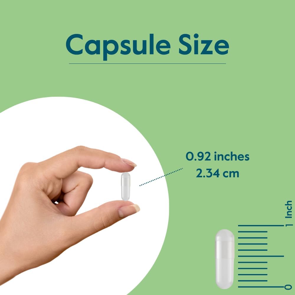 BESTVITE Ácido Pantoténico 500mg (Vitamina B5) - 240 Cápsulas Vegetales
