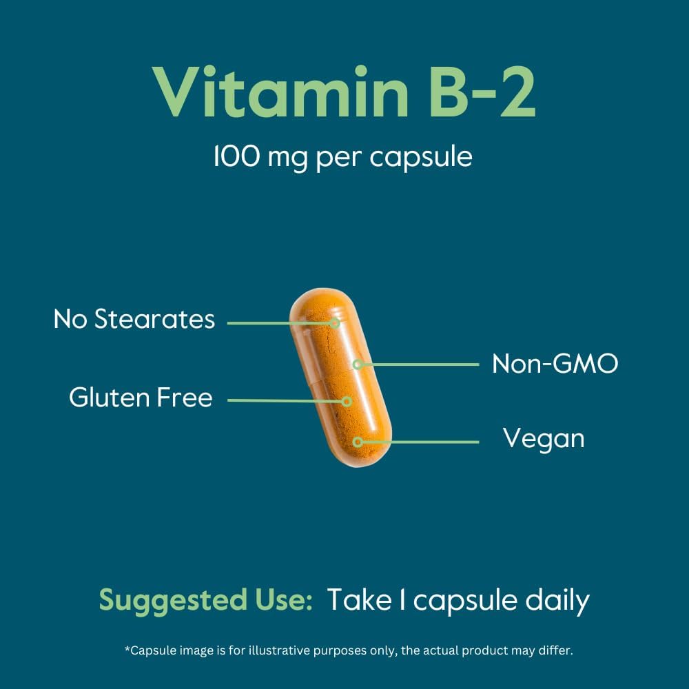BESTVITE Vitamin B-2 100mg (240 Cápsulas Vegetarianas) - Sin Estearatos - Sin Fosfato Dicálcico - Vegano - No OGM - Sin Gluten