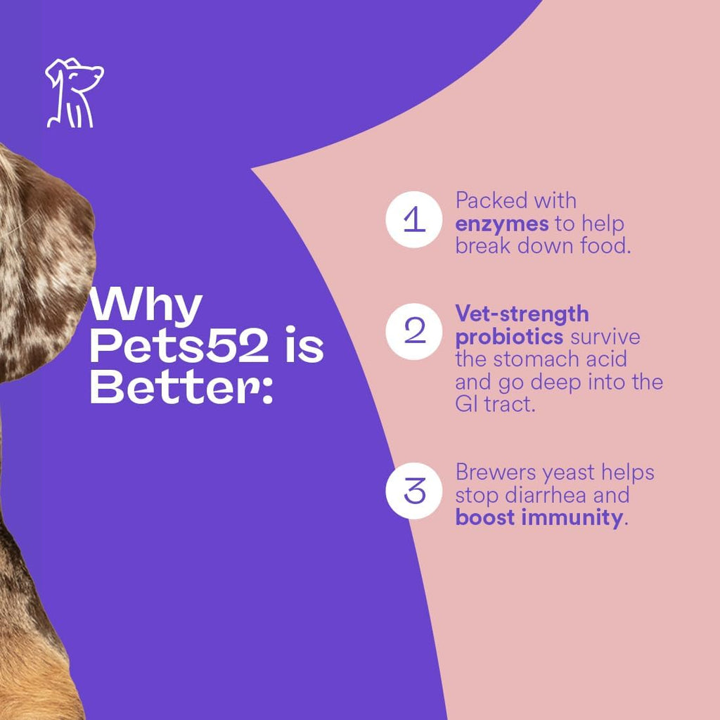 Pets 52 - Probióticos para Perros con Enzimas Digestivas - Apoya la Flora Intestinal, Refuerza el Sistema Inmunológico, Fórmula de Fuerza Veterinaria