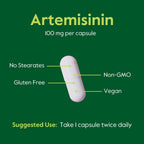 BESTVITE Artemisina 100mg (240 Cápsulas Vegetarianas) - Sin Estearatos, Vegano, Sin Gluten