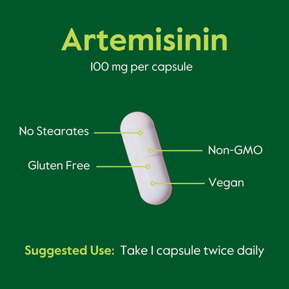 BESTVITE Artemisina 100mg (240 Cápsulas Vegetarianas) - Sin Estearatos, Vegano, Sin Gluten – Image 5