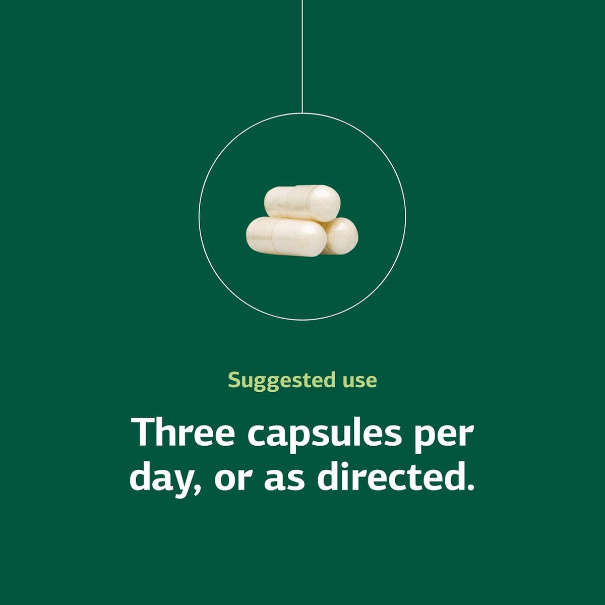 Standard Process A-C Carbamide - Apoyo a la salud urinaria - 90 cápsulas – Image 5