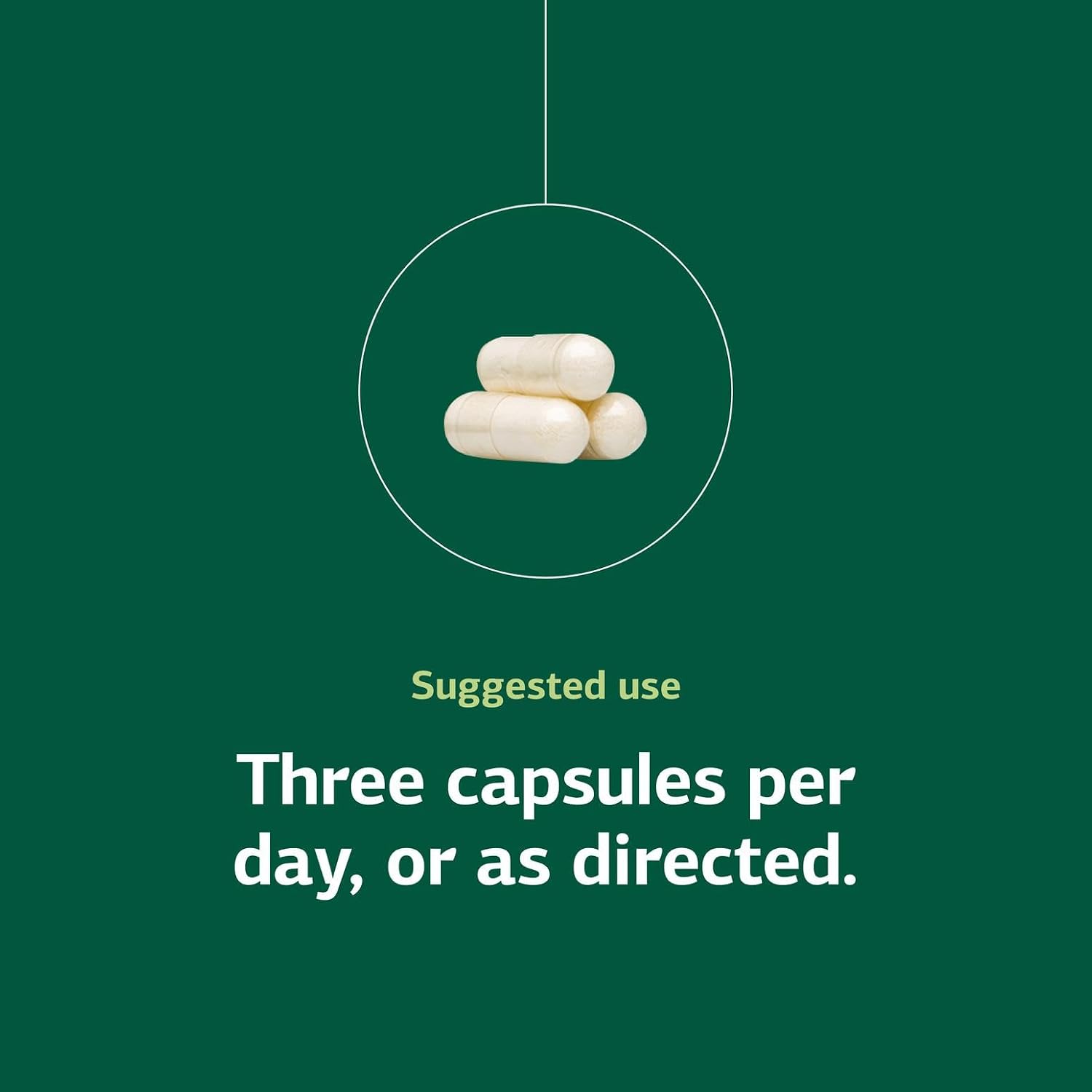 Standard Process A-C Carbamide - Apoyo a la salud urinaria - 90 cápsulas