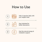 Alaya Naturals Metabolism+ - Energía Natural con Té Verde, Canela, Remolacha y Cafeína - 90 Cápsulas