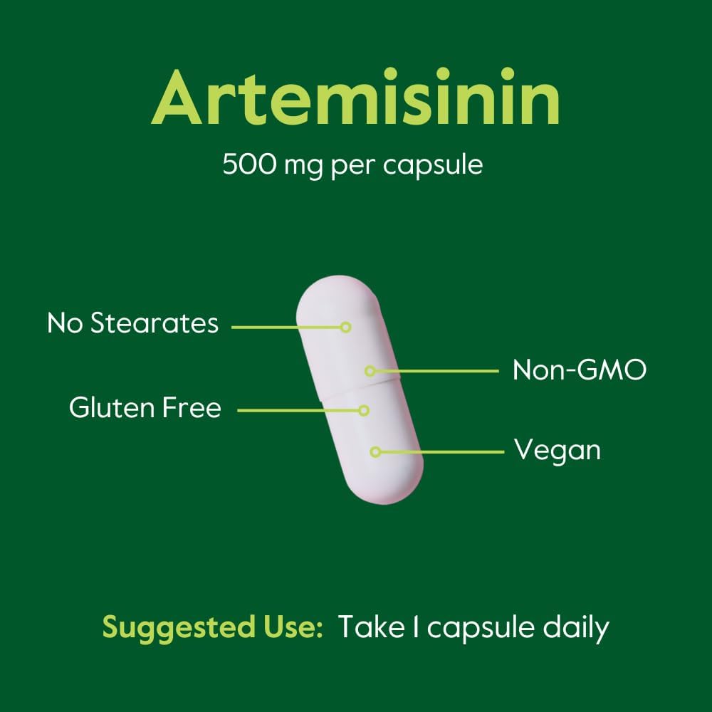 BESTVITE Artemisinin 500 mg por cápsula (120 cápsulas vegetales)