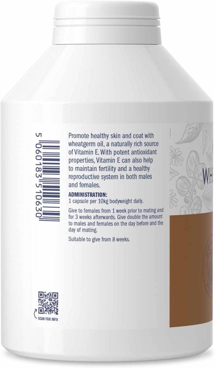 Dorwest - Cápsulas de Aceite de Germen de Trigo para Perros y Gatos