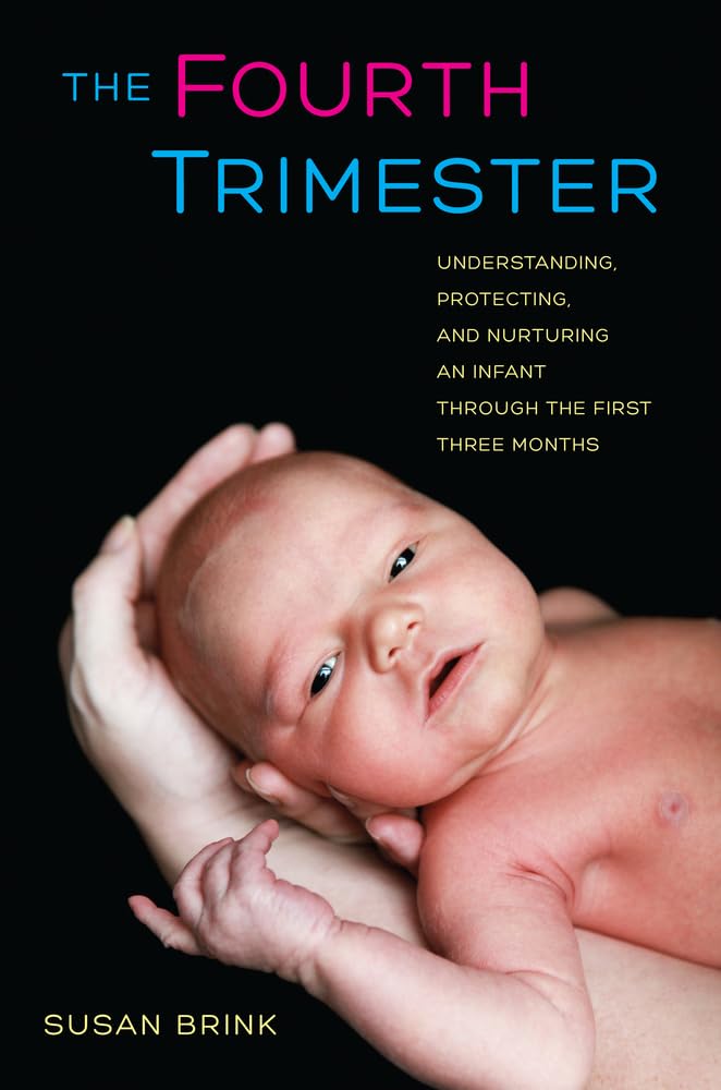 El cuarto trimestre: comprendiendo, protegiendo y cuidando a un bebé durante los primeros tres meses