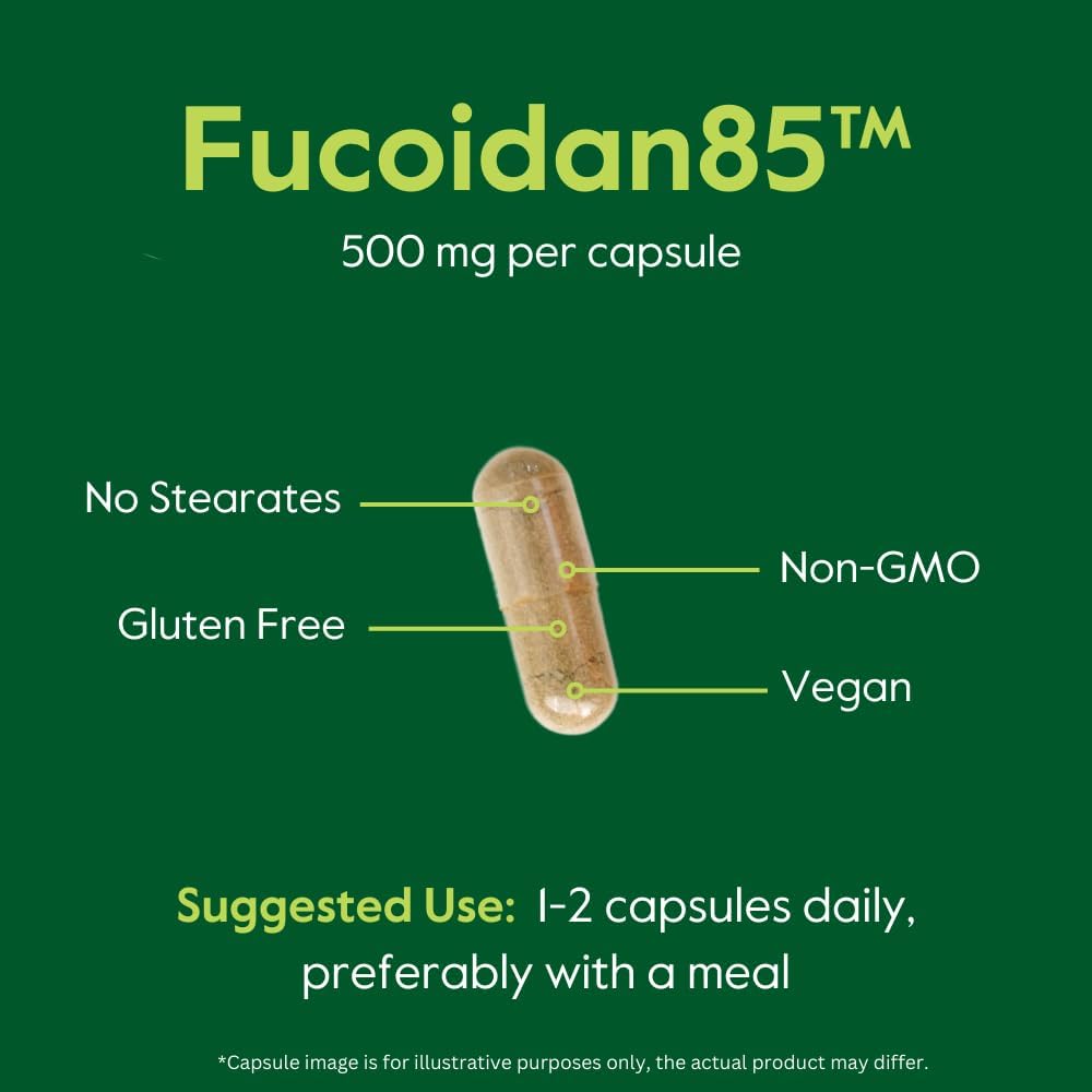 BESTVITE Fucoidan Extract 500mg (Estandarizado al 85% de Fucoidan) - 120 Cápsulas Vegetales