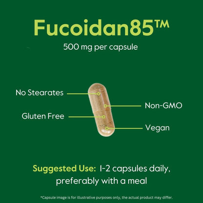 BESTVITE Fucoidan Extract 500mg (Estandarizado al 85% de Fucoidan) - 120 Cápsulas Vegetales – Image 6
