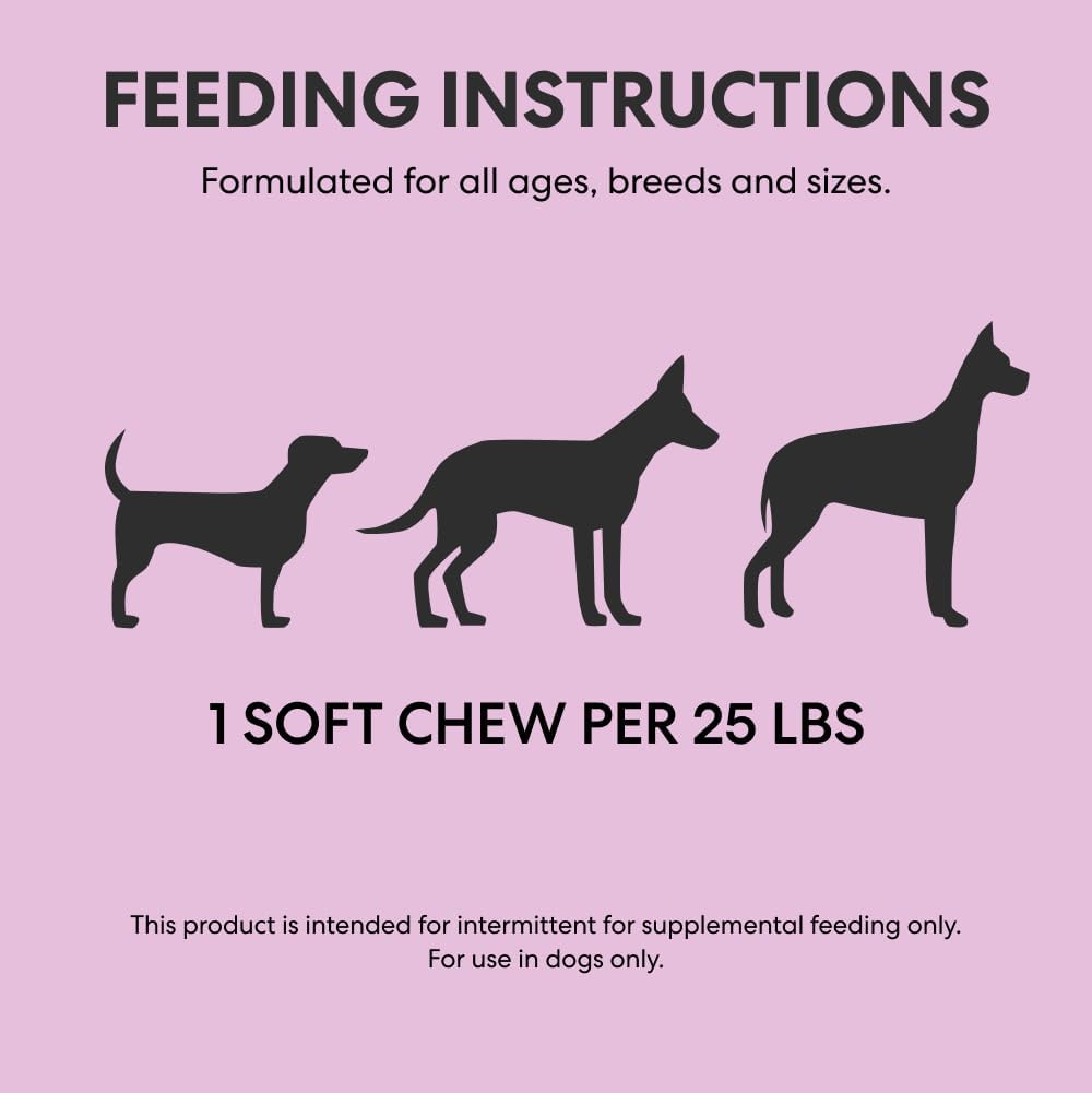 Probiotic Soft Chews Duck Flavored Gut Health Supplement for Dogs - Dog Digestive Support, 60 Chews