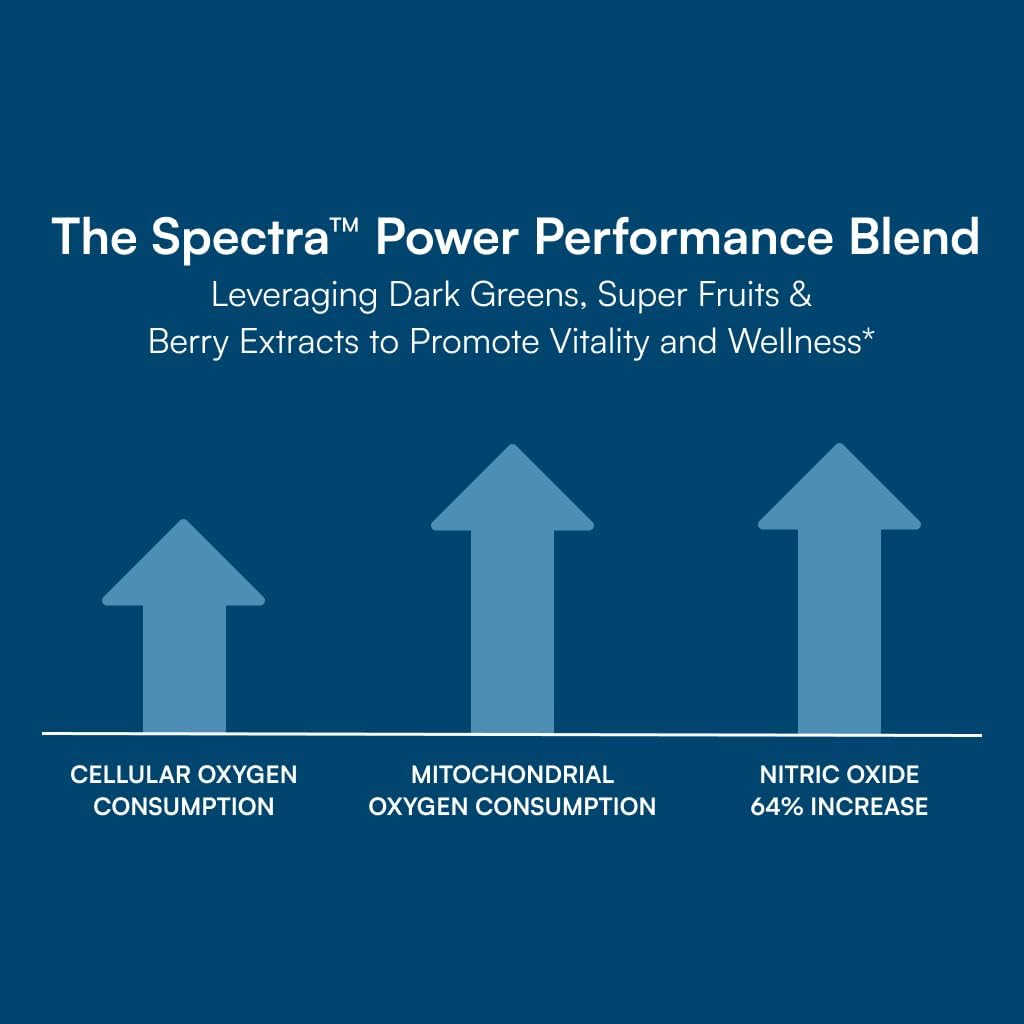 Purity Products Men's Perfect Multi from Vitamins, Minerals and Phytonutrients - Promotes Energy, Vitality and Stamina - Easy to Swallow - 90 Tablets