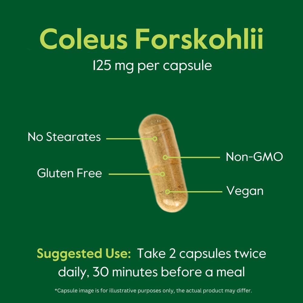 BESTVITE Coleus Forskohlii 125 mg - 20% Forskolin (120 Cápsulas Vegetales) - Con Forslean