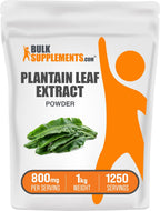 BulkSupplements Extracto de Hoja de Llantén en Polvo – 800 mg por Ración, 1 kg