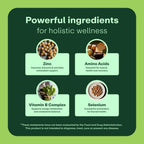 WellWithAll Multivitamínico para Hombres con Zinc, Vitamina D, B12, K2 y Calcio | Apoyo Inmunidad y Energía | 60 Comprimidos