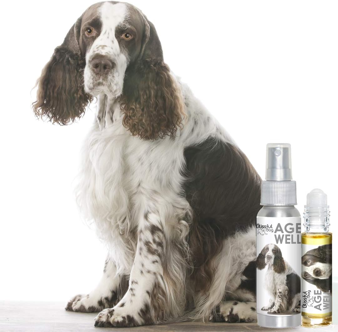The Blissful Dog Springer Spaniel Age Well Spray Aromatherapy – Image 2
