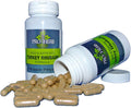 Ruibarbo de Indias 450mg, 100 Cápsulas