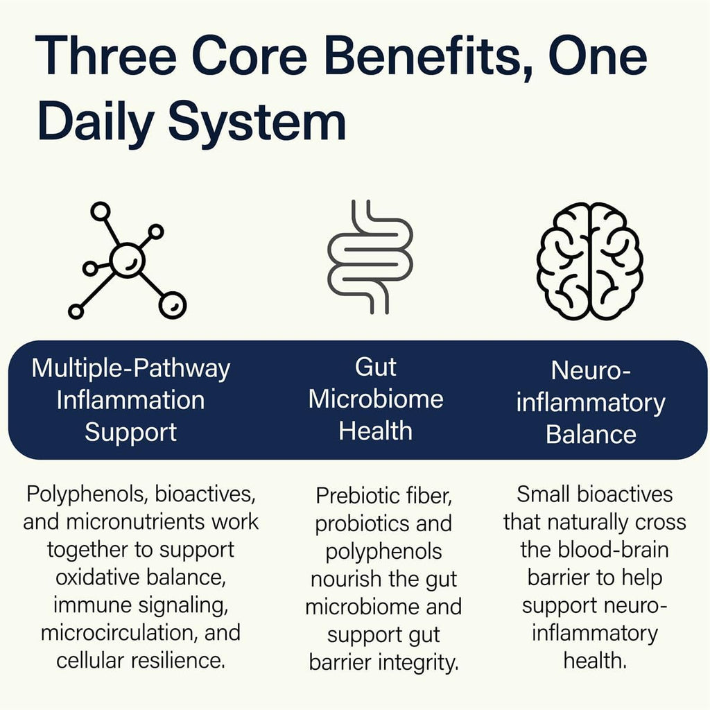 ACEND Advanced Inflammatory Support – Mezcla en Polvo con Polifenoles y Probióticos