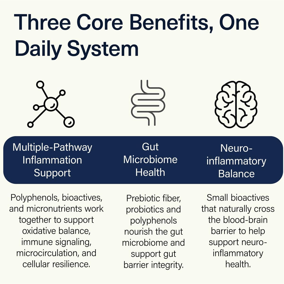 ACEND Advanced Inflammatory Support – Mezcla en Polvo con Polifenoles y Probióticos