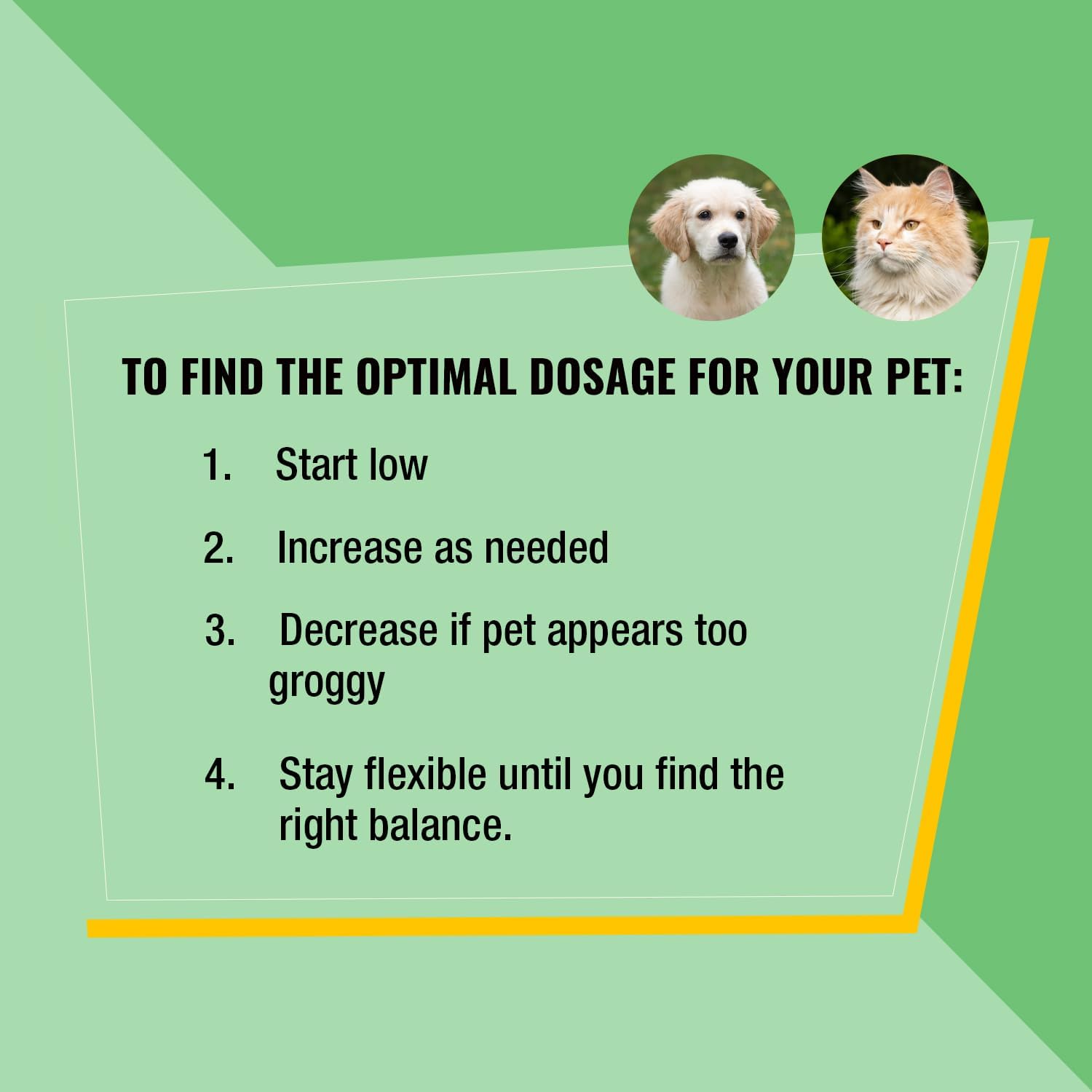 Aceite de Hemp para Perros y Gatos con Salmón Salvaje de Alaska - 1000 mg