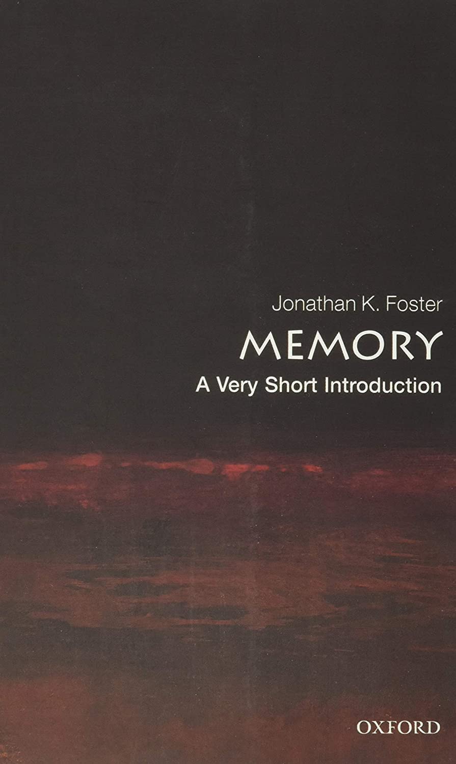 Memory: A Very Short Introduction – Image 1