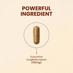 CHOQ Tongkat Ali Extract 100mg - LJ100 Longjack - 30 Cápsulas