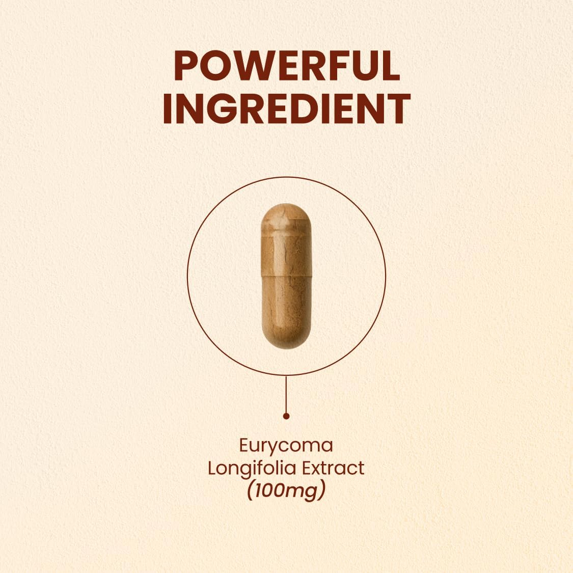 CHOQ Tongkat Ali Extract 100mg - LJ100 Longjack - 30 Cápsulas