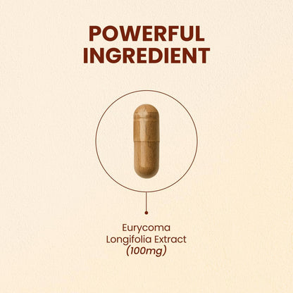 CHOQ Tongkat Ali Extract 100mg - LJ100 – Mejora del rendimiento físico y mental: Gracias a su efecto sobre la – Image 2