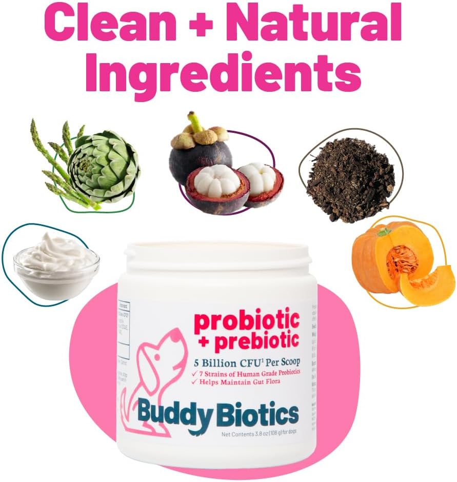 Probiótico + Prebiótico en Polvo para Perros – 7 Cepas Probióticas con FOS Prebiótico, Apoya la Flora Intestinal, Salud Digestiva e Inmunitaria, 5 Mil Millones de UFC por Cacito