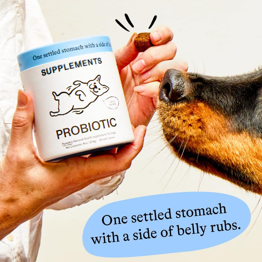 Probioticos para perros - Spot & Tango - Calabaza, Curcuma, Raiz de Achicoria, Pimienta Negra, Mezcla de 9 Cepas - 56 Masticables