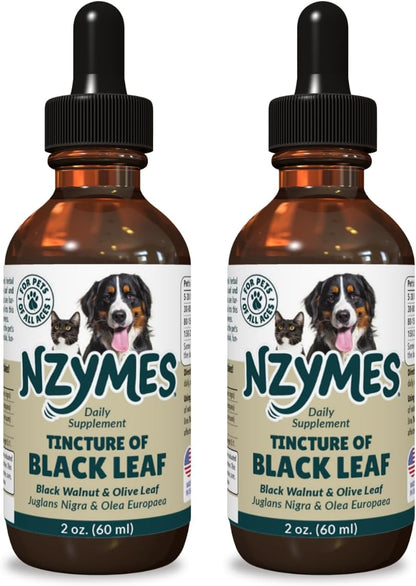 BlackLeaf Tintura para Mascotas - Pack de 3 – Cayena : conocida por estimular la circulación y mejorar la – Image 9