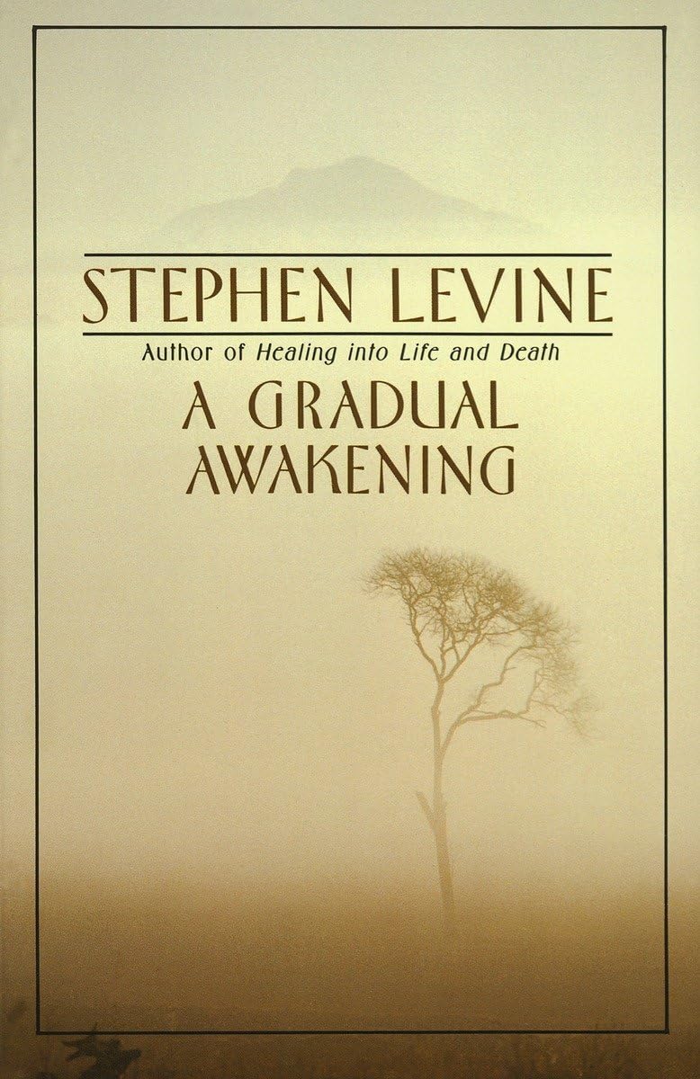 A Gradual Awakening (Un Despertar Gradual): Un libro de meditación